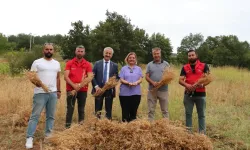İzmit Belediyesi ilk nohut hasadını yaptı 