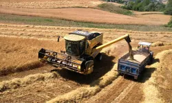 Kocaeli’de 57 bin dekarda hasat sevinci