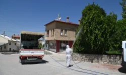 Konya Selçuklu'da yeşil alan ilaçlamaları sürüyor