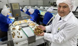 Kuru meyve sektöründe 12 şampiyonun 11’i Egeli