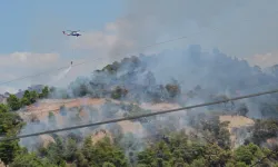 Manisa’da orman yangınlarıyla mücadele sürüyor... Başkan Dutlulu sahada