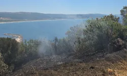 Mudanya kırsalında yangın! Buğday tarlası son anda kurtarıldı