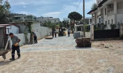 Muğla'da Milas Belediyesi ilçe genelindeki çalışmalarını sürdürüyor