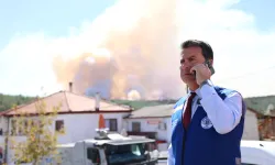 Muğla’da yangın alarmı! Elektrik hatlarına denetim çağrısı