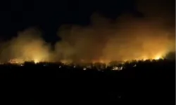 Orman'dan 22 Temmuz raporu: Müdahale edilen 54 yangından 51’i kontrol altında