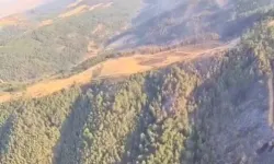 Uşak ve Bilecik’te yangınlar kontrol altında... Sakarya Geyve’de mücadele sürüyor