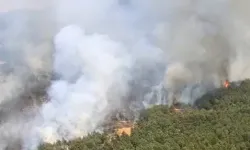 Uşak ve İzmir Bergama’da yangınlara müdahale sürüyor