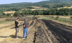 Yangında zarar gören çiftçilere Kocaeli'de tohum desteği