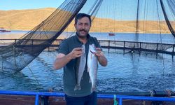 Demirözü Göletinden dünya sofralarına uzanan başarı hikayesi