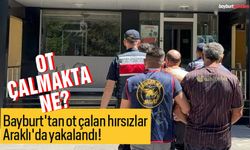 Bayburt'tan ot çalan hırsızlar Araklı'da yakalandı!