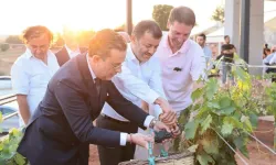 Çal Bağbozumu Festivali kültürle renklendi