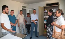Manisa’da sokak hayvanları için yeni yaşam alanları oluşturuluyor