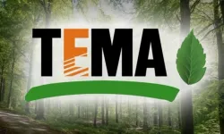 TEMA Vakfı Edirne'de gönüllü arıyor