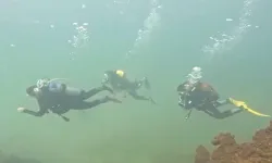 Van Gölü'nün zenginliğini keşfediyorlar