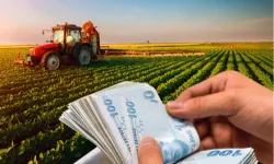 349 milyon TL'lik tarımsal destekler hesaplarda