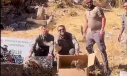 Bitlis’te keklik ticaretine darbe! 90 kınalı keklik doğaya salındı