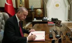 Cumhurbaşkanlığı'na yeni daire başkanlığı kuruldu