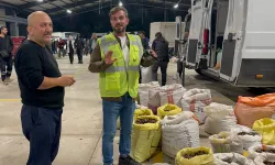 Düzce’nin tescilli lezzeti kuzu kestanesi pazara indi!