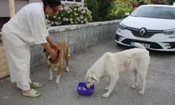 Edirne'de 200 bin TL borçla boğuşan KEHAY-KO’dan yardım çağrısı