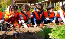 İstanbul Maltepe’de minik eller toprağa can veriyor