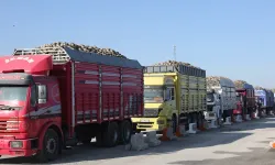 Konya Şeker'den üreticiye çifte avans