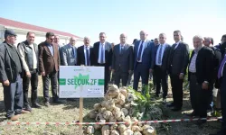 Konya’dan yerli tohum devrimi!