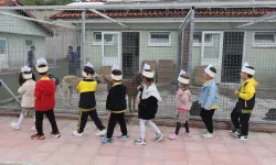 Muğlalı minik yüreklerden can dostlara ziyaret