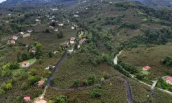 Ordu Büyükşehir’den Ulubey’e konforlu ulaşım