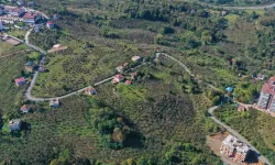 Ordu'da eğitime giden yol konfor ile buluştu
