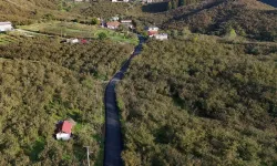 Sakarya Büyükşehir’den yeşilin tam ortasına dokunuş
