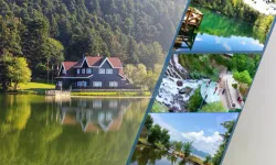 Tarım ve Orman Bakanlığı’ndan 'Milli Parklar' açıklaması: Talan iddiaları gerçeği yansıtmıyor!
