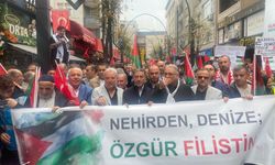 Bağcılarda “Nehirden denize özgür Filistin ”yürüyüşü