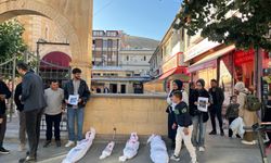 MTTB Bayburt Teşkilatı,GAZZE’DE yaşanan drama dikkat çekti