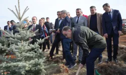 Bayburt’ta  4 Bin Dikensiz Kuşburnu Fidanı Dikildi