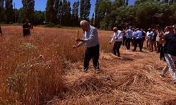 Son Başbakan Binali Yıldırım, Harman Şenliği’ne katıldı.