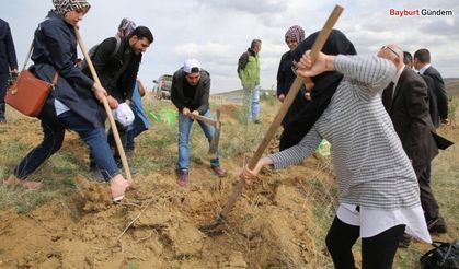 Bayburt Üniversitesi’nde Fidanlar Yeşerecek