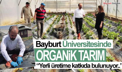 Bayburt Üniversitesinde Organik Tarım Çalışmaları Devam Ediyor