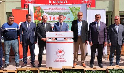 İl tarım Müdürlüğü tarafından 175000 fide dağıtıldı