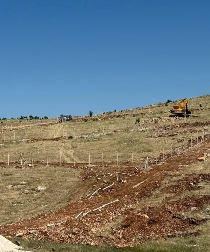 Mardin Artuklu Belediyesi’nden hayvan dostu projeler