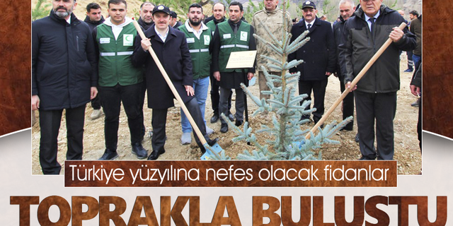 Türkiye yüzyılına nefes olacak fidanlar toprakla buluştu