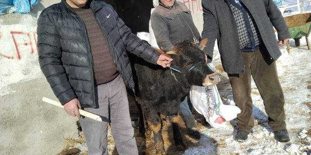 Besiciler Hayvanlarını Depremzedelere Bağışladılar
