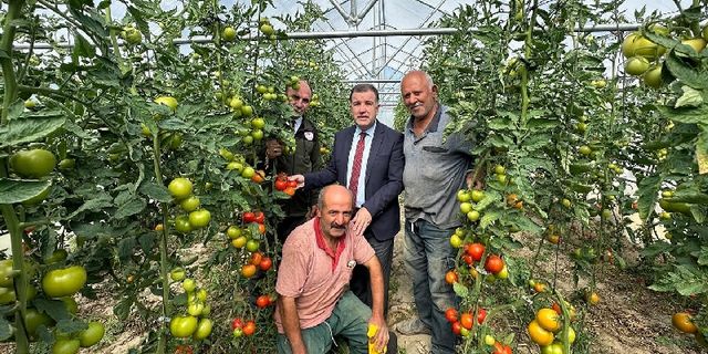 55 bin metrekare alanda 20 çeşit ürün yetiştiriliyor