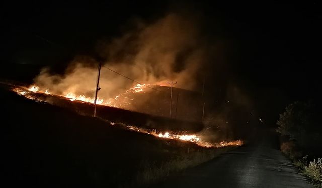Karlıca Köyünde mera yangını