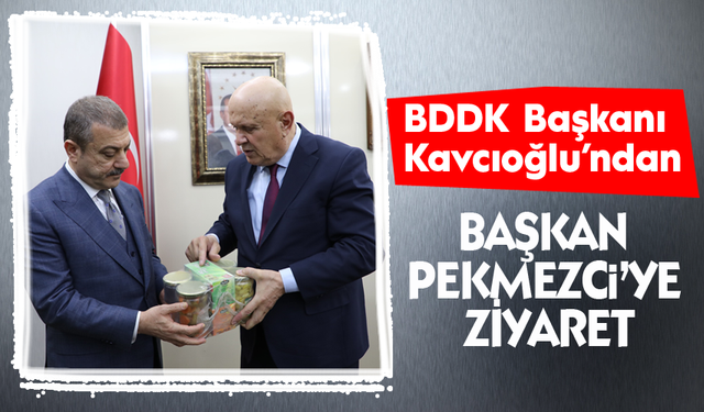 BDDK Başkanı Kavcıoğlu’ndan Başkan Pekmezci’ye ziyaret