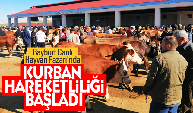 Bayburt Canlı Hayvan Pazarı'nda kurban hareketliliği başladı.