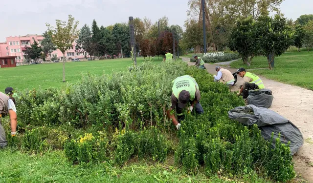 Sakarya'da şehrin dört bir yanına sonbahar dokunuşu