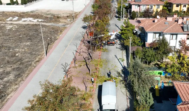 Konya Selçuklu'da ağaçlar budanıyor... Atıklar kompost gübreye dönüştürülüyor