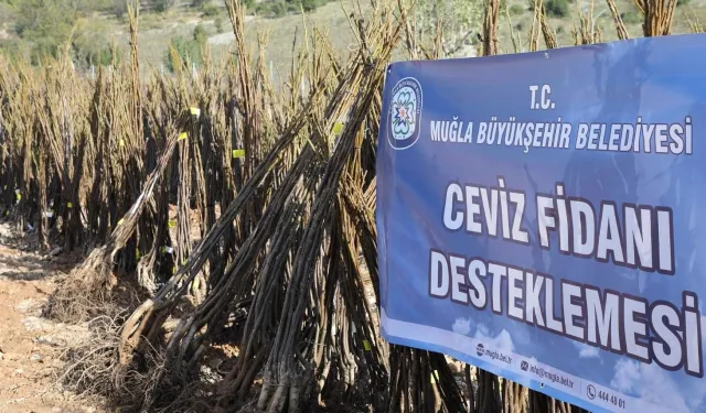 Muğla 'her kapıda bir fidan'la toprağa sahip çıkıyor