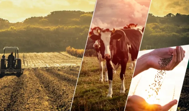 2,3 milyar TL tarımsal destek daha hesaplarda