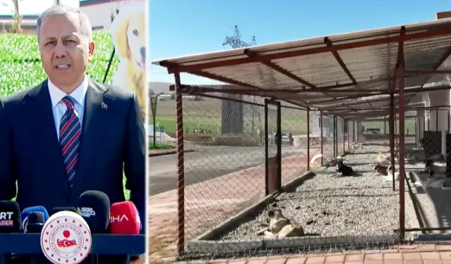 Bakan Yerlikaya Batman'dan açıkladı... Sahipsiz hayvanlarla ilgili belediyeler iki ayda bir denetlenecek